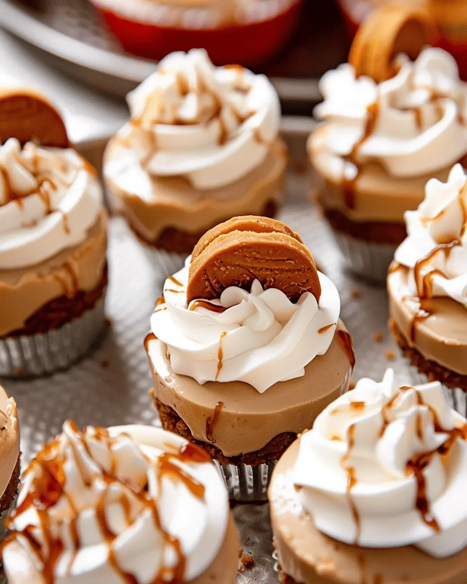 No Bake Mini Biscoff Cheesecakes: Easy Indulgence at Home